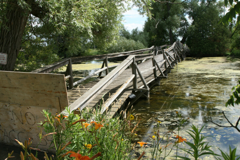 Anne-híd, 2016.